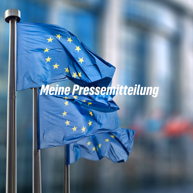 Meine Pressemitteilung zum Thema KI-Sicherheit bei der State-of-the-Union-Rede von Ursula von der Leyen
